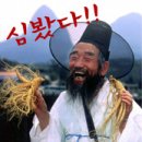 심봤다 - 제주시 고성남서길 8 | 심봤다