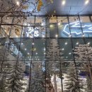 차와사람들 이미지