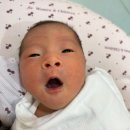 [출산일기 2탄] 제왕절개, 그 후 회복은 계속된다...(포항여성아이병원 수술 회복/ 제왕절개 후 운동...
