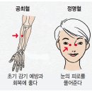 부위별 건강 지압…감기 증상 있을 때 목 뒤 ‘풍지혈’ 지압하면 도움 이미지