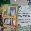 와우쥬 양산점 | 부산 근교 아이랑 갈만한 곳 양산 실내동물원 와우쥬 먹이주기 체험 (알파카, 양, 사슴, 염소, 미어켓...