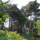 옥계목장 이미지