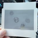 삼성메디칼 | 기억 더듬이의 시험관 성공일기_삼성제일산부인과