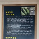 평동애호박식당평동점 이미지