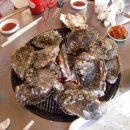 벚굴식당 이미지