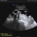 에바마레산부인과의원 이미지