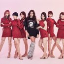 신인을 주목하라 이미지