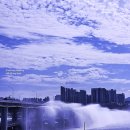 강산횟집 | 노량진 수산시장 회맛집 의리수산 대방어 모듬회 포장 횟집임