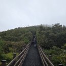 샘물농원