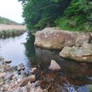 버섯공인중개사사무소 이미지