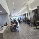 야탑 반려견 | 기분전환 대성공! 요즘 제 최애 공간, 야탑미용실 아일로헤어 방문 후기