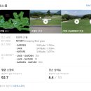 라데나GC 티스토리
