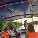 반딧불1 | [코타키나발루 여행 1일차] 반딧불투어 &amp; 선셋요트체험 후기｜커플 여행 일정 공유