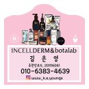 인생인셀덤