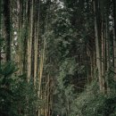 오션뷰제주게스트하우스 이미지