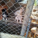 대곡농장 이미지