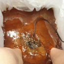 중원양자헬스케어 이미지