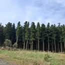 제주 힐링하우스 이미지