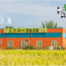 오드레미영농조합법인 이미지