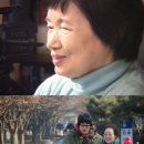 연기자 나문희-소설가 박완서, 서울여성영화제를 빛낸 중견 여성들 이미지