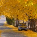 아림주유소 이미지