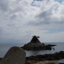 금성민박
