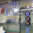 [양양 맛집] 남애항 ‘강원횟집 6호‘ 자연산 모듬회 4인코스