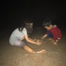 하바다 통나무집 이미지