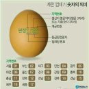 [펌] 계란 구별법 이미지