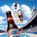 ☆★ 버드와이저 Budweiser [미국] ★☆ 이미지