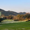 알프스대영CC | 알프스대영CC 솔직 후기｜야간라운드 가기전 꼭 알아야할 한가지