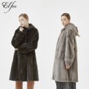 엘페로3 이미지