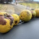 어떤점빵 이미지