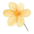 유광빌딩 이미지