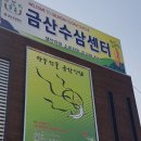 금산수삼센타 이미지