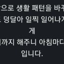 밥주는영양사