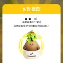 별다방가든 이미지