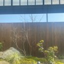 구공카페 이미지