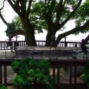 나문재관광농원 이미지