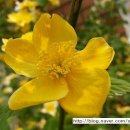 못골사거리 이미지