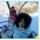 용인대 참 태권도장 이미지