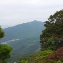 바우들은 꽃으로 피어나고! - 부산 망미봉(605m)~상학산(638m)~상계봉(640m)~파리봉(615m)~화산(544m) 이미지