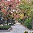 시티원공인중개사사무소 이미지