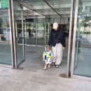 휘닉스 블루캐니언사우나 | 휘닉스파크 블루캐니언 두돌아기와 이용후기 준비물 이용꿀팁