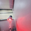 카페디차 | 이번주 나의 일상은....📚🏥