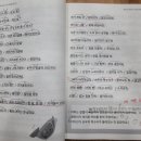 수원-0579 이미지