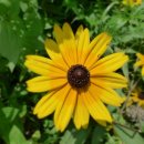 사기막리 이미지