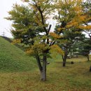 홍주성 옥사우물 이미지