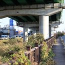 장대들길 이미지