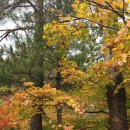 꿈꾸는 계곡 펜션 이미지